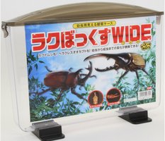 ラクぼっくすWIDE ワイド　未使用品6個　送料込み 楽天市場】幼虫用見える観察ケース・ラクボックスワイド