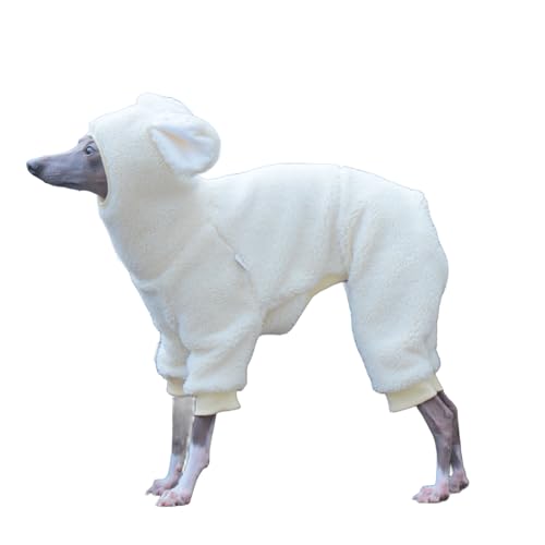 UOSIA 킢ETM̃[XEOCnEh pW} PFOCnEh ^[^lbN t[htZ[^[ gt[X t{fB s[X EFA EBybĝ悤Ȍp̕