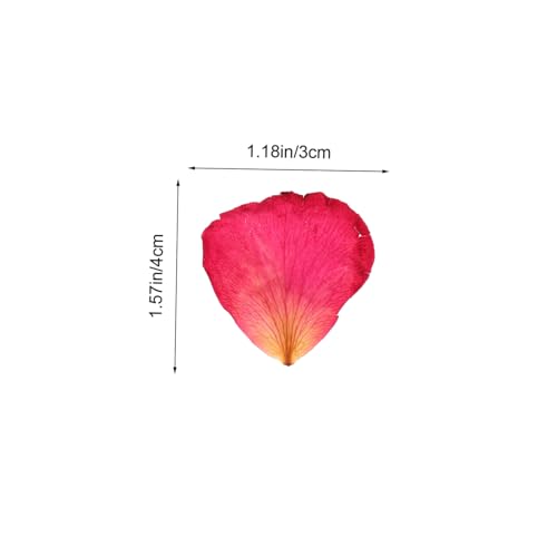 Pétalos de rosa secos naturales 250g para manualidades miniatura 2