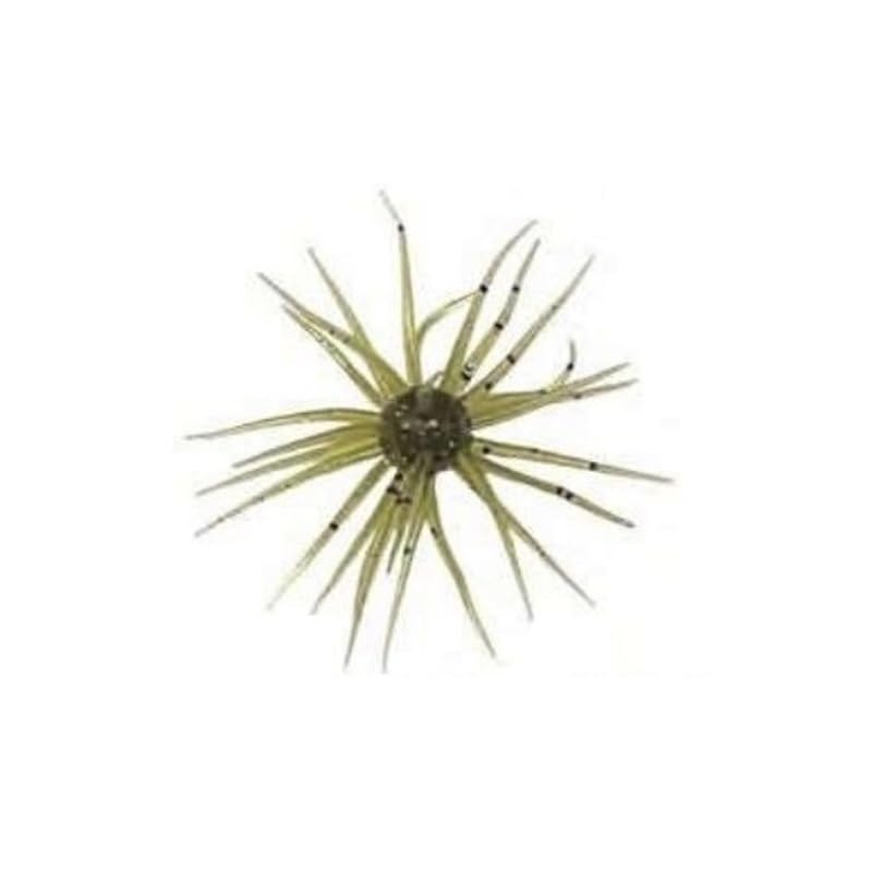 HIDEUP Coike 13mm #282 クリアーグリパンPG-F Amazon.co.jp: コイケ 13mm ＃282クリアーグリパンPG-F