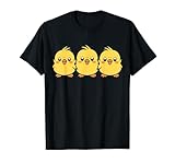 Pollitos Expresión pollito Cita divertida
