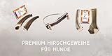 naftie Hirschgeweih Geweihstück ganz - Geweih Kau-Knochen - XS für Welpen und kleine Hunde - mineralstoffreich, geruchsarm & langlebig