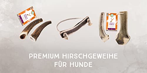 naftie Hirschgeweih Geweihstück ganz - Geweih Horn - XXL für sehr große Hunde - Abwurfstange vom Rothirsch - geruchsarm & langlebig