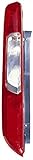 FANALE POST DX SENZA COMPATIBILE CON FORD FOCUS 2004>2008, OEM 1420450