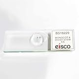Eisco - Prepared Microscope Slide Monocot and Dicot Root Comparison - Plant Root Cross Section - 75 x 25 mm Glass Slide - Labeled, Sealed Inert Sample for Microscopic Observation
