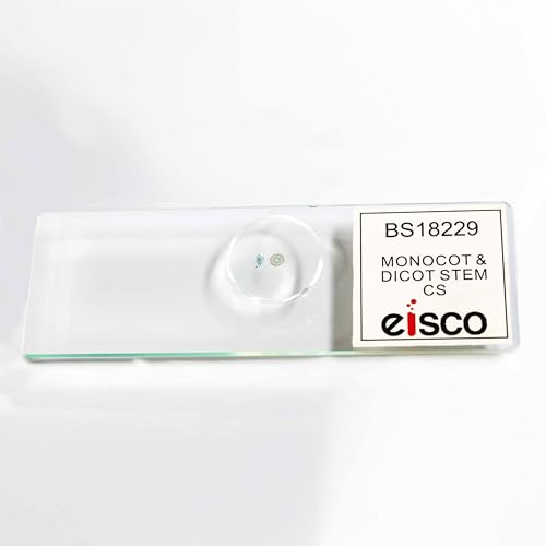 Eisco - Prepared Microscope Slide Monocot and Dicot Root Comparison