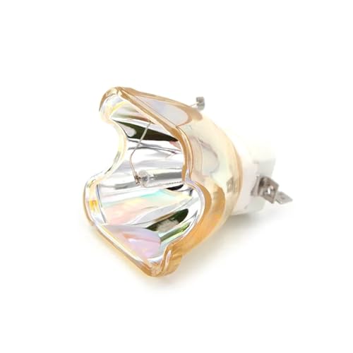 NEEDDA DT00841 bombilla de proyector for HITA-CHI CP-X205 CP-X206 CP-X300 CP-X301 CP-X305 CP-X306 CP-X308 CP-X400(DT00841-CB)