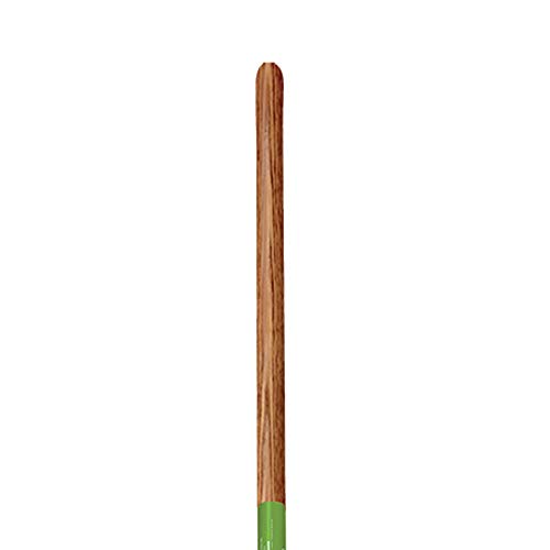 https://m.media-amazon.com/images/I/31gOdRJDgOL._SL500_.jpg