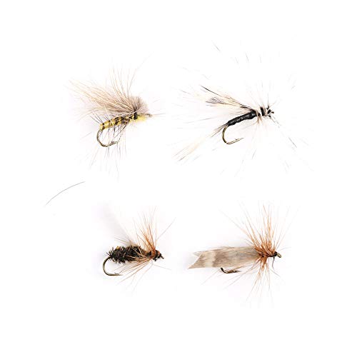 ANCLLO 12 Stück Top Bewertung Trocken/Nymphe/Streamer Fliegenfischen Fliegen Forellen Fliegensortiment