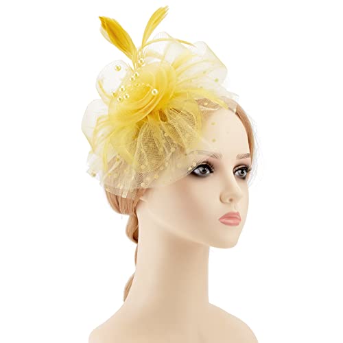 Image of DRESHOW Fascinators Hat Flower Mesh Ribbons Feathers on a Headband and a Clip Tea Party Headwear for Girls and Women