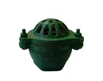 B K JAGAN & CO Cast Iron Foot Valve (3 Inch)