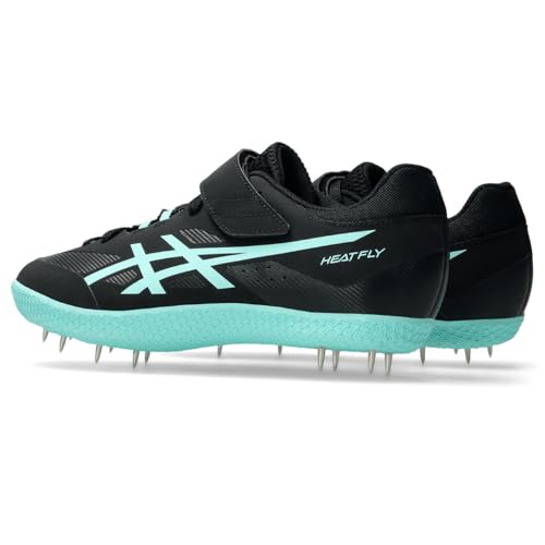 asics HEAT FLY 2 1093A249