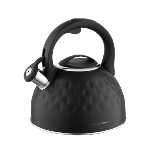 FLORINA Bouilloire (2,5 l) - En acier inoxydable - Avec poignée en silicone - Pour cuisinière à induction, cuisinière à gaz et électrique - Couleur : noir