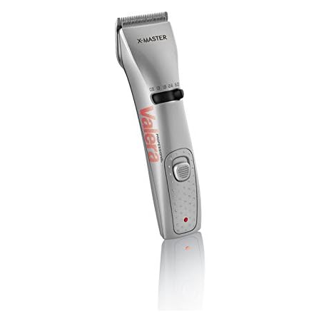 taille de barbe longue