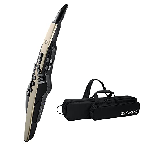 Amazon | Roland AE-20 Aerophone ウィンドシンセサイザー (ゴールド