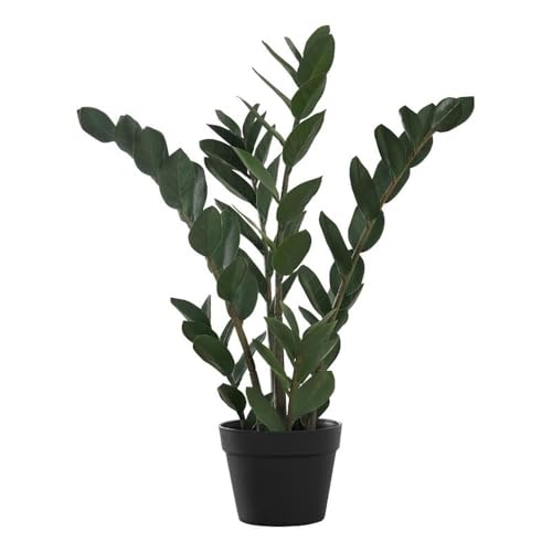 Planta artificial, 73,6 cm de alto, árbol Zz, interior, suelo, maceta, hojas verdes
