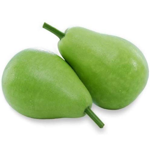alkarty round gourd seeds (gol ghiya ke beej) pack of 20 seeds (B07T6HVT19) Amazon Price History, Amazon Price Tracker