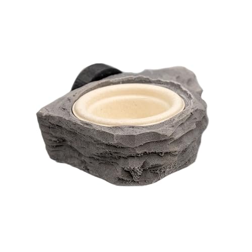 Pangea Mini Magnetic Gecko Feeder Ledge