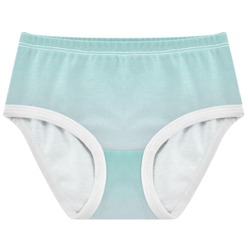 Joisal Cotton Toddlers Underwear Floral Green Blue Magnolia Gradient Panties Little Girl Cartoon Undies Kids Briefs 2t