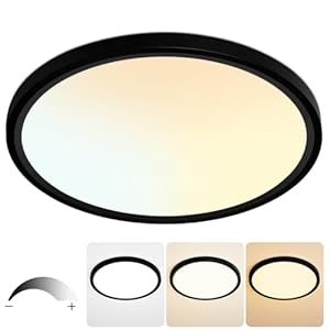 20 Inch Flush Mount Ceiling Light, 40W Dimmable LED Fixture 4000LM, 3000K/4500K/6000K Adjustable, Round Ceiling Lamp for Bedroom, Kitchen, Living Room, Dining Room, Bathroom, Black
