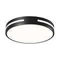 VIOLOEMI Dimmable LED Ceiling Light, 5CCT 2700K-6000K Modern Black Flush Mount Ceiling Light, Minimalist Round Close to Ceiling Lighting Fixtures for Kitchen, Bathroom, Hallway, 11.81in