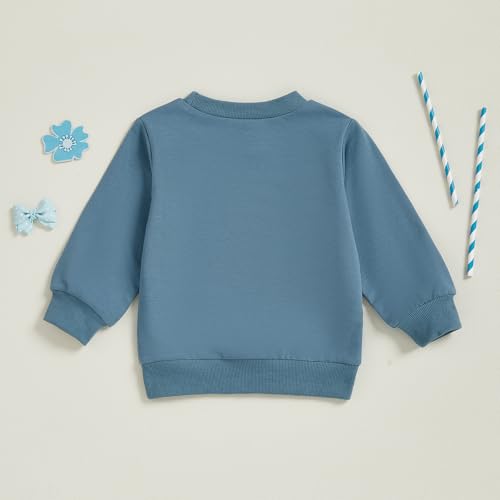 Toddler Baby Boy Girl Oversized Sweatshirt Solid Color Long Sleeve Crewneck Pullover Tops Kids Fall/Winter Clothes4