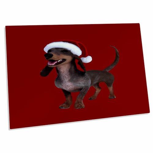 3dRose Holiday Ready Dachshund Sausage Dog con gorro de Santa miniatura 1