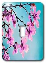 3dRose LLC lsp_77072_1 Delicate Pink Blossoms Against Blue Skies Single Toggle Switch