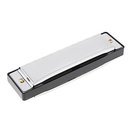 PacuM Harmonica par clé d’instrument 10 trous Harmonica professionnel Instrument de musique Orgue à bouche en acier inoxydable Harmonica - Les Beatles, Paul McCartney, John Lennon, RIngo Starr, George Harrison PacuM Harmonica par clé d'instrument 10 trous Harmonica professionnel Instrument de musique Orgue à bouche en acier inoxydable Harmonica – Image 3