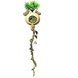 Generico Jumping Spider Climbing Decor | Jumping Spider Enclosure Decor | Reptile Cage Vines Enrichment, for Snakes Ball Pythons Chameleons Mantis Gecko Tortoise Frog Bearded Dragon