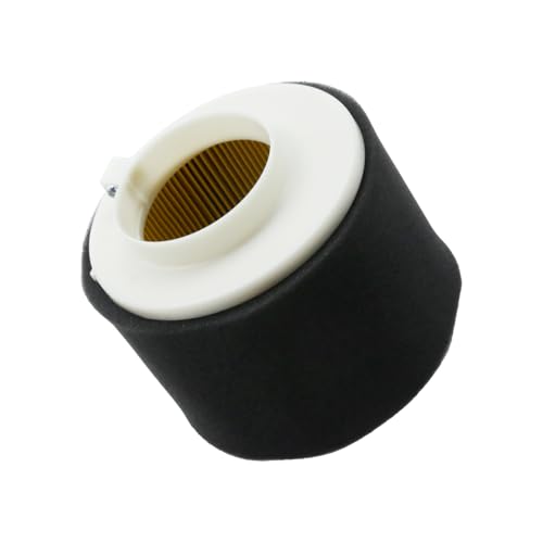Vkinman 11029-1004 Air Filter with Pre Cleaner, Replacement for Kawasaki