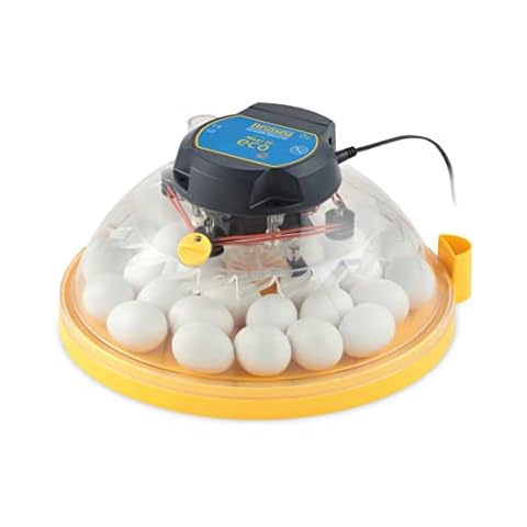 Incubadora BRINSEA Maxi II ECO con volteo manual Cover
