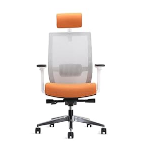 EasyErgo Apollo Ergonomic Chair - Ergo Mesh Design for Computer Desk Work - Comfortable Office Chair with Detachable… 31gQmTKsAAL. SS280
