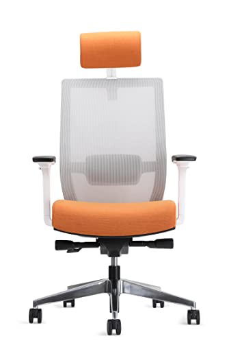EasyErgo-Apollo-Ergonomic-Chair-Ergo-Mesh-Design-for-Computer-Desk-Work-Comfortable-Office-Chair-with-Detachable-Headrest-Magma 31gQmTKsAAL