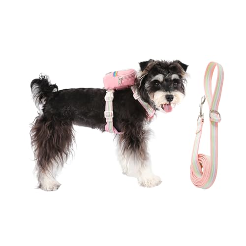 Arnés antitracción para Perros, cómodo y Ajustable con con Cremallera, arnés con Cuerda de Entrenamiento para Perros, para Cachorros pequeños, medianos y Grandes, pequeños, medianos y Grandes