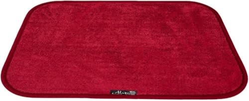 Aladino Tapis d’Entrée Intérieur/Extérieur pour Maison, Salle de Bain & Cuisine, Antidérapant, Lavable, Ultra Absorbant, Tailles et couleurs variées,...
