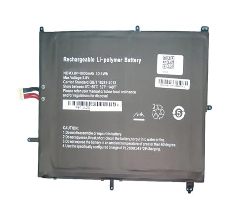 YLGOZFM Batterie pour Ordinateur Portable QILIVE Q8 13.3 NA133 PL2890145*2P,8 V 8000 mAh 9 Broches