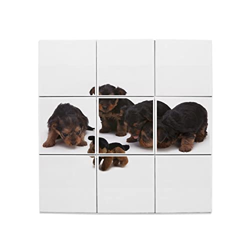 Carreaux céramique 20x20 cm lot de 9 chiots marron et noir decoratif mural salon