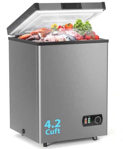 4.2 Cu Ft Freezer with Light