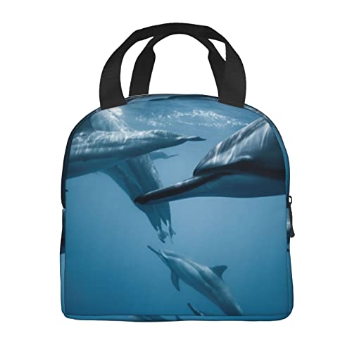 Debou Cute Dolphin Insulated Lunch Bag Cooler Tote Reusable Leakproof Lunch Box Easy Clean For Work Office Picnic Beach Or Travel #TOP2