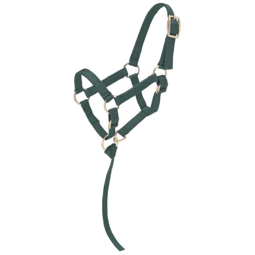 Tough1 Miniature Nylon Halter - Hunter Green - Small