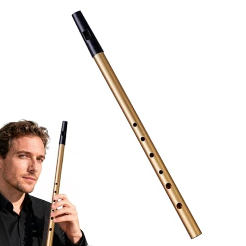 Authentic D Tin Whistle Penny Whistle Six-Hole Design With Clear Tone And Stable Pitch Easy To Play Folk Music Instrument For Celtic Irish Traditional Music