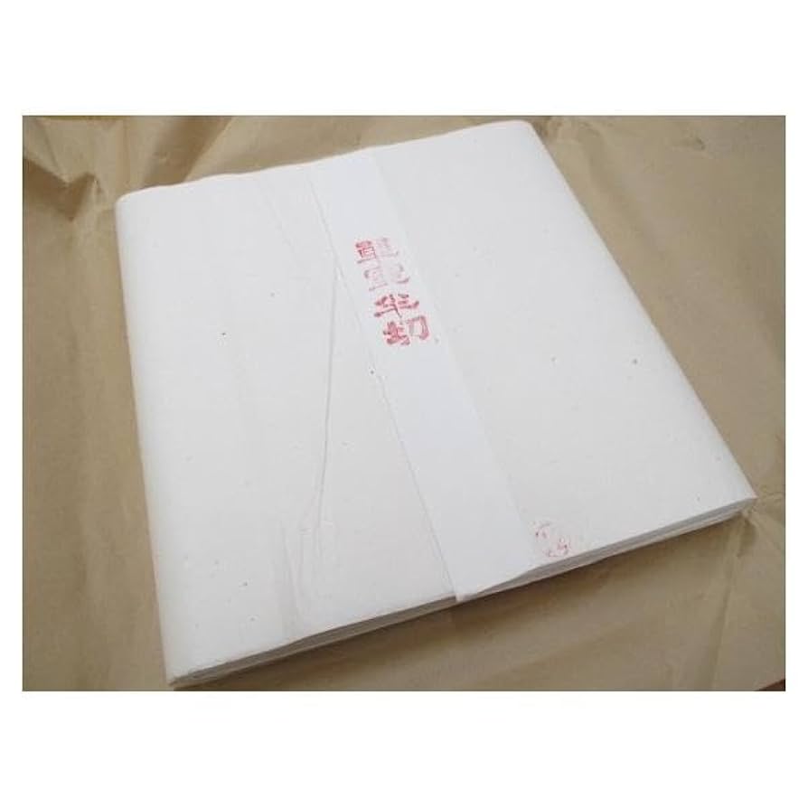 浄皮 単宣 画仙紙 宣紙 書道 半切 二反 Amazon.co.jp: 書道半切 安徽単宣 100枚 画仙紙 書道紙 : 文房具