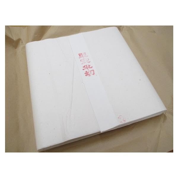 浄皮 単宣 画仙紙 宣紙 書道 半切 二反 104099303_th.jpg?