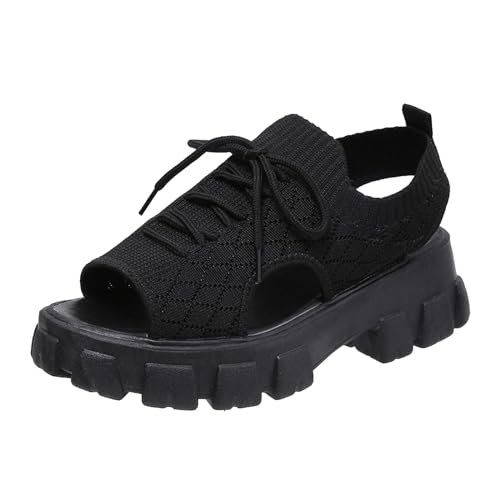 [ZGHQHCDRH] T_ fB[X ₷  ؍  r X|[cT_ bV y Xb| JWA  T_ ɂȂ ₷ Xj[J[T_  Ȃ s ʋ ʊw i