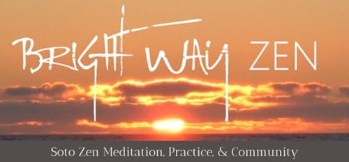 When Meditation Is Not Enough Podcast Por  arte de portada