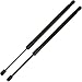 17.91 Inch 2Pcs Liftgate Trunk Struts Lift Supports Compatible with Ford Focus 2000-2007 Hatchback Only Not for Sedan Wagon 5S4Z61406A10A Shock Gas Spring Cylinder Rear Back Tailgate Hatch