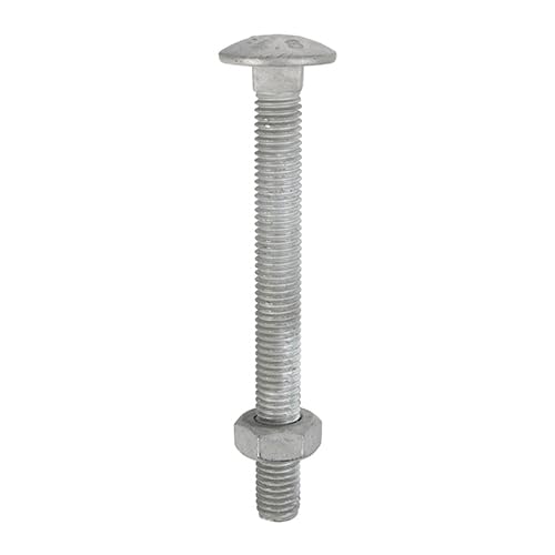 Timco - Carriage Bolts & Hex Nuts - Hot Dipped Galvanised (Size M10 x 200-10 Pieces)