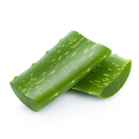 Aloe vera leaf fresh500Gx1 (B0C9686C1N) Amazon Price History, Amazon Price Tracker
