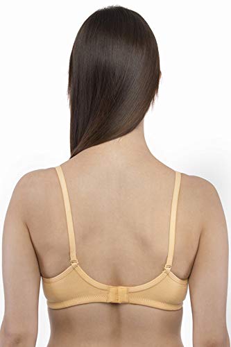 Image of VIP Feelings ELLE Cotton Rich Fabric Wirefree Padded T-Shirt Bra Combo Set for Womens with Medium Coverage